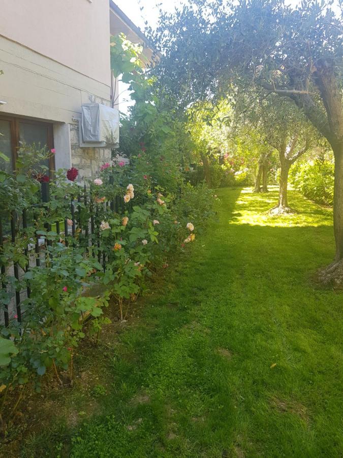 El Giardino Delle Rose..... Apartment Serre Di Rapolano Exterior photo