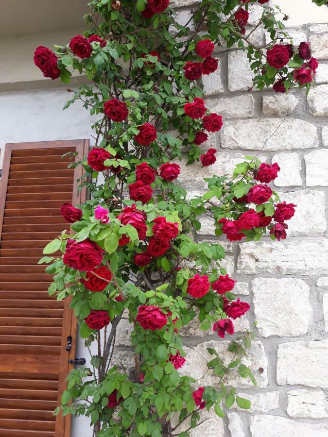El Giardino Delle Rose..... Apartment Serre Di Rapolano Exterior photo